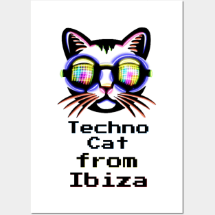 Techno Cat from Ibiza - Catsondrugs.com Techno Party Ibiza Rave Dance Underground Festival Spring Break  Berlin Good Vibes Trance Dance technofashion technomusic housemusic Posters and Art